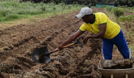 O Brasil está em quinto lugar entre os maiores emissores de GEE, principalmente por causa dos impactos das emissões do setor agropecuário. Fonte: Organicos do PIVAS/Flickr