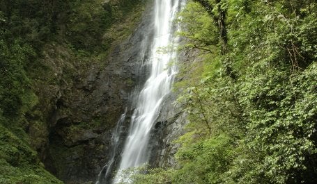 Mata Atlântica. Cachoeira na reserva Salto Morato (Foto: Haroldo Palo Jr.)