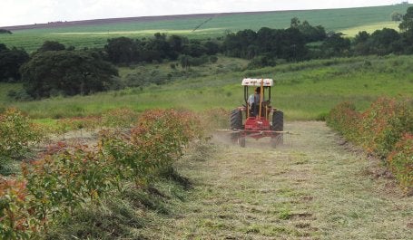 Fazenda da Toca (Foto: Divulgação)