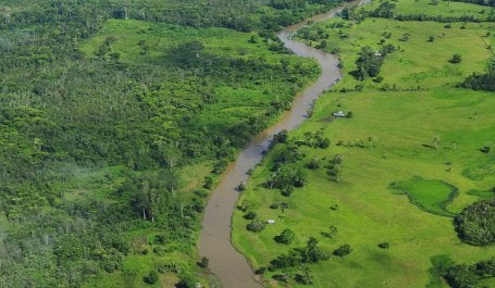 Aerial view of the Amazon rainforest. Photo credit: Neil Palmer, CIAT