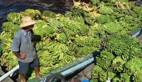 homem entrega carga de bananas de barco em Manaus