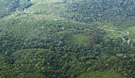 A Amazônia vista de cima, no Pará (Foto: Nick Elmoor)