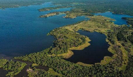 Floresta na Amazônia