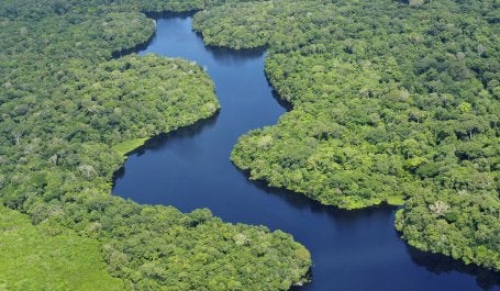 Florestas distantes também têm profundos sobre a vida nas cidades (Foto: CIAT/Flickr)