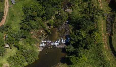 Restauração de 3 mil hectares de florestas na bacia do Guandu pode ajudar no tratamento da água (Foto: Marizilda Cruppe/ WRI Brasil)