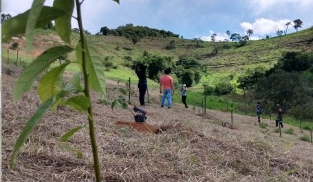 equipe trabalhando na área de plantio na zona da mata