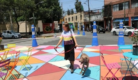 imagem mostra mulher com seu cachorro em área de baixa velocidade
