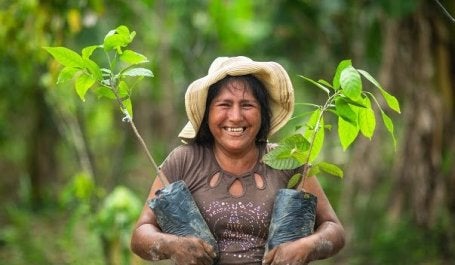 Mulher com duas mudas de árvores e floresta no fundo