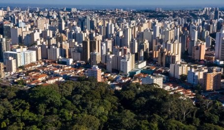imagem aérea de campinas mostra florestas e paisagem urbana