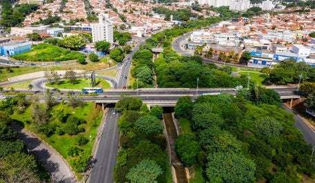 imagem de cidade e floresta