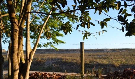 Cerca separa floresta secundária de área de pasto em propriedade no norte do Espírito Santo (Foto: Bruno Calixto/WRIBrasil)