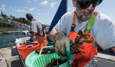 Um pescador. Um estudo descobriu que o rápido aquecimento da água na costa da Nova Inglaterra pode estar levando a um declínio no número de pescadores