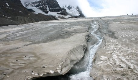 Gelo coberto por camada escura no pé do Glaciar Athabasca, no Canadá (foto: Wing-Chi Poon/Wikimedia Commons)