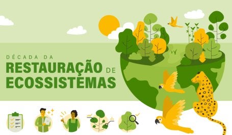 Ilustração sobre a Década da Restauração