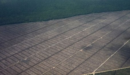 Desmatamento em Sarawak, na Malásia, impulsionado pelo cultivo das palmeiras de onde provém o azeite de dendê. (Foto: Wakx/Flickr)