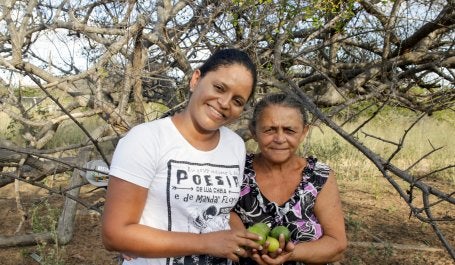 Denise Cardoso (E), presidenta da Coopercuc, com a produtora Maria Perpétua Barbosa, de Uauá