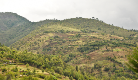foto de paisagem pontuada por árvores no Quênia