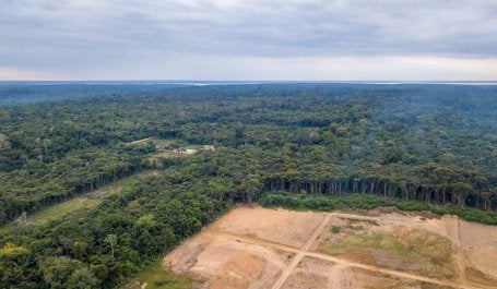 Imagem aérea de desmatamento na Amazônia 