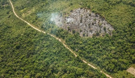 Desmatamento na Amazônia aumentou as emissões de CO2