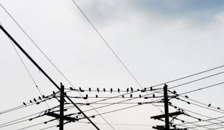 Cidades que contam com fontes limpas de energia deveriam acelerar a eletrificação (foto: Eric/Flickr)