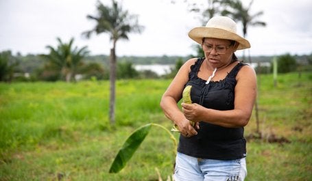 engajamento atores locais restauração florestal