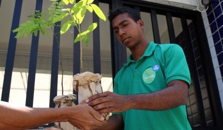 Em Salvador, Disque Mata Atlântica distribui mudas de árvores à população em nome da resiliência e do bem-estar (foto: Bruno Concha/SECOM Salvador)