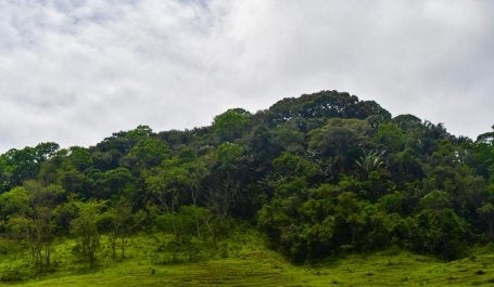 Floresta e pasto degradado Espírito Santo