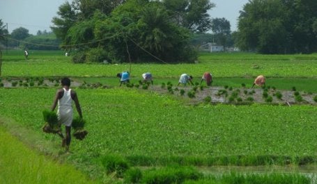 WRI measures its success through positive, on-the-ground change. Photo credit: Wikimedia Commons