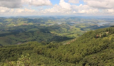 Floresta Extrema Minas Gerais