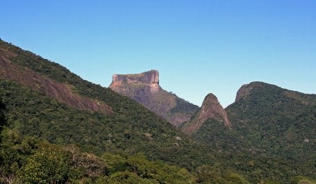 Floresta Nacional da Tijuca