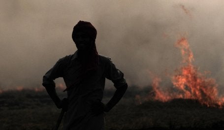 Incêndios estão ocorrendo com uma frequência sete vezes maior do que em 1950 (Foto: CIAT/Flickr)