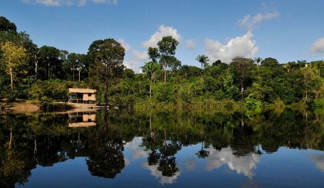 forests ciat neilpalmer.jpg