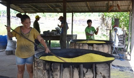 Incluir a abordagem de gênero pode aumentar significativamente a eficiência de um projeto de restauração (Foto: Mariana Oliveira/WRI Brasil)