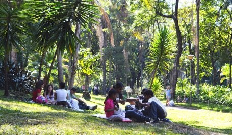 pessoas reunidas no gramado de um parque
