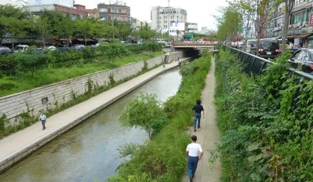 imagem do córrego CheongGyeCheon em Seul, com muita vegetação nas margens