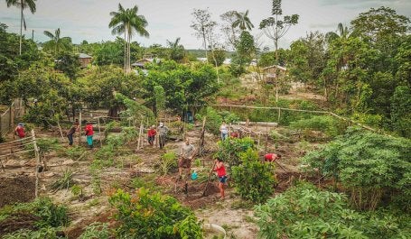 Área sendo preparada para plantio de sistema agroflorestal em Juruti, no Pará (foto: Preta Terra)