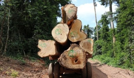 Caminhão leva madeira em floresta em Gana