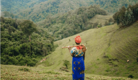 imagem de mulher de costas em área verde em Ruanda