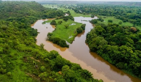 Floresta no Espírito Santo Mata Atlântica