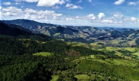 mata atlântica vale do paraiba