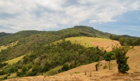 Pastagem degradada na região do Cantareira. A restauração de 4 mil hectares prioritários em locais onde hoje são pastagens pode melhorar a qualidade da água em São Paulo (Foto: Erik Lopes/TNC)