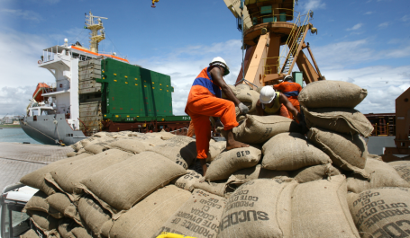 trabalhadores movem sacos de cacau no porto de ilhéus na bahia