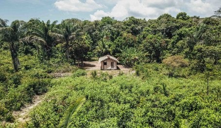 Potencial da floresta em pé é um trunfo para a economia brasileira e as comunidades locais (foto: Preta Terra)
