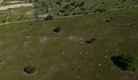 Imagem aérea em Linhares, ES