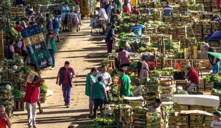 imagem de alimentos chegando em centro de distribuição em são paulo