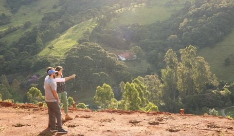 Melhoramento genético, manejo, tecnologia da madeira e outras técnicas ajudarão a desenvolver espécies nativas (foto: James Anderson/WRI Brasil)