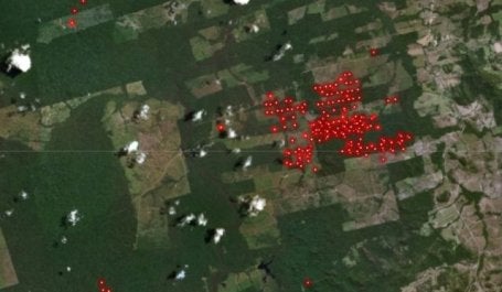 Alertas de incêndio do GFW indicam focos em torno de terras agrícolas no Pará, de 18 a 19 de agosto