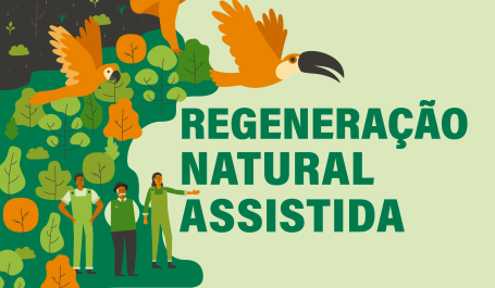Regeneração Natural Assistida