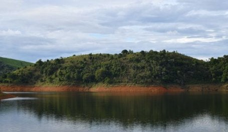 Floresta ao fundo de uma represa