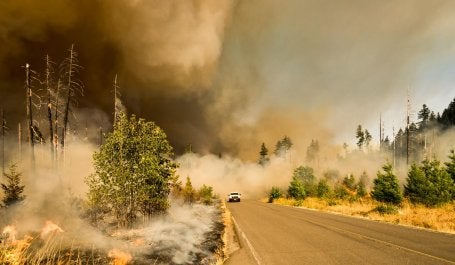 Incêndio florestal IPCC adaptação clima extremo